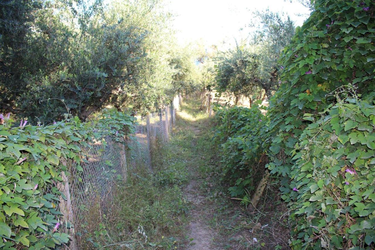 Anastassia Eg Koróni Exterior foto